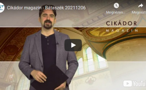 cikador_magazin_20211206