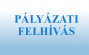 Pályázati 