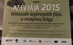 a_bataszeki_oreg_molyhos_tolgy_az_ev_faja